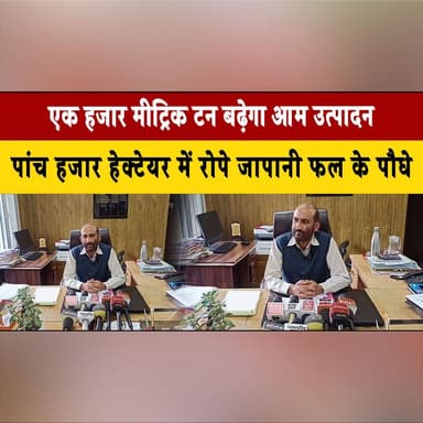 एक हजार मीट्रिक टन बढ़ेगा आम उत्पादन
पांच हजार हेक्टेयर में रोपे जापानी फल के पौधे
#MangoProduction #Horticulture #Agric...