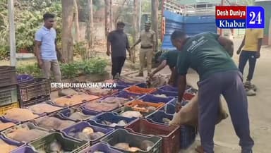 #761ଟି_କଇଁଛ_ଜବତ_ଜଣେ_ଗିରଫ_Malkangiri
ବେଆଇନ କଇଁଛ ଚୋରା ଚାଲାଣ ବେଳେ 761ଟି କଇଁଛ ଜବତ,ଜଣେ ଗିରଫ #Malkangiri #Deshduniyakhabar24