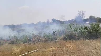 कुटखेड़ी के हनुमान ढाना में गन्ने में आग लगने के कारण 2 लाख का नुकसान हो गया