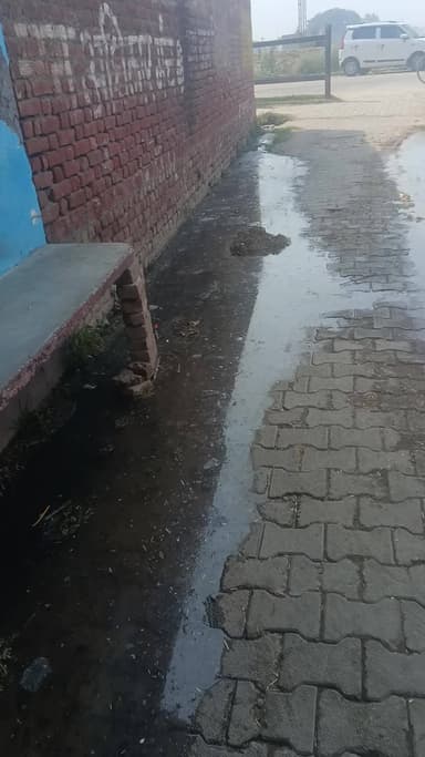 #उझानी में वार्ड नंबर 10 पर बहुत ज्यादा गंदगी है यहां पर रोज बीमारियां फैल रही है लोगों को कृपया करके यहां सफाई हो
