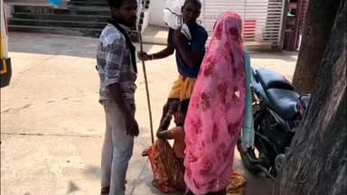 तामिया: टिपाखेड़ा में आवारा कुत्ते ने महिला को काटा, अब लोगों को काटने के लिए दौड़ रहा है