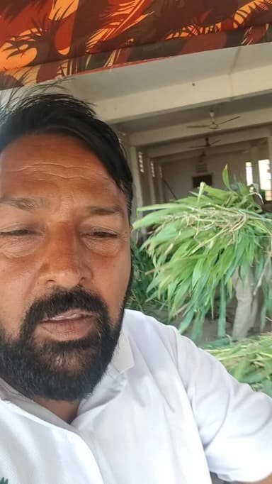 गौ सेवा करते हुए ऐसा क्या हुआ कि देखते रह गए लोग देखिए पूरा वीडियो#breaking