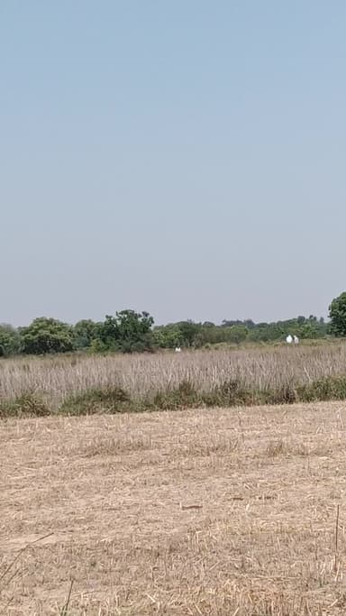 ye video Modi ke pass tak jana chahiye