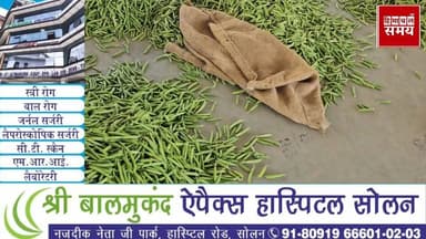 मटर के रेट में लगातार गिरावट ,जानिए क्या रहा भाव
हिमाचल समय - Himachal Samay Media #bhusganjwkeery #mceletion #nagarniga...