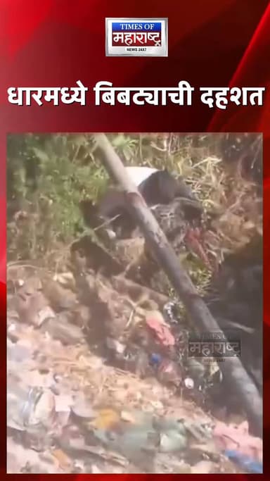 धारमध्ये बिबट्याची दहशत! 5 जखमी, परिसरात भीतीचं वातावरण
धार जिल्ह्यातील गुजरी शहरात बिबट्याने अचानक दहशत निर्माण केली ...