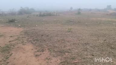 रानीश्वर: कोहरे के कहर से लोगों में बढ़ी बीमारी, चिंताजनक स्थिति