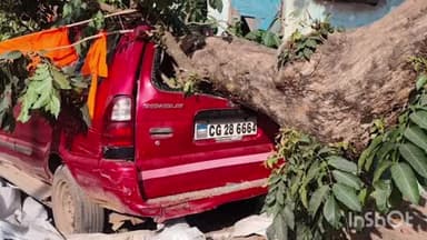 पुष्पराजगढ़: अमरकंटक में खड़ी कार पर गिरा विशालकाय पेड़