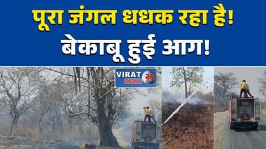 रीवा:विंध्य पर्वत श्रृंखला में भीषण आग, जंगल संकट में #Rewa
#VindhyaHills
#ForestFire
#MadhyaPradesh
#GoGreen
#Environme...