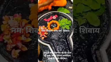 जय हो बाबा बैजनाथ जी की आज की पूजा अर्चना सिंगार अलौकिक झांकी के दर्शन कीजिए।