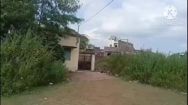 वरला: चाचरिया चौकी क्षेत्र के कामोद गांव में महिला ने फांसी लगाकर की आत्महत्या, पुलिस ने जांच शुरू की