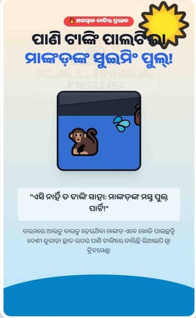 ପାଣି ଟାଙ୍କି ପାଲଟିଲା ମାଙ୍କଡ଼ଙ୍କ ସୁଇମିଂ ପୁଲ୍
#MonkeySwimming #SummerVibes #FunnyAnimals #MonkeyMischief #viralvideochall...