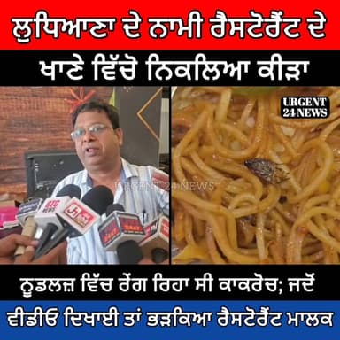 ਲੁਧਿਆਣਾ ਦੇ ਨਾਮੀ ਰੈਸਟੋਰੈਂਟ ਦੇ ਖਾਣੇ ਵਿੱਚੋ ਨਿਕਲਿਆ ਕੀੜਾ ਨੂਡਲਜ਼ ਵਿੱਚ ਰੇਂਗ ਰਿਹਾ ਸੀ ਕਾਕਰੋਚ; ਜਦੋਂ ਵੀਡੀਓ ਦਿਖਾਈ ਤਾਂ ਭੜਕਿਆ ਰੈਸਟੋਰ...