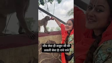 सब कुछ राधे राधे है! #vrindavan #youtubeshorts#viralvideo #radheradhe #radhakrishna #animals#love