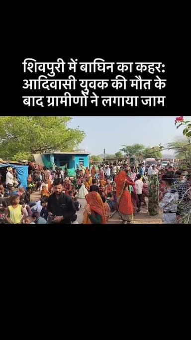 नरवर.ऐरावन सिंध नदी किनारे खौफनाक घटना: बाघिन के हमले में मौत, गांव में दहशत #viral #goankiawaaz #गांवकीआवाज #village