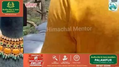 नालागढ़ में पंचायत की लापरवाही उजागर: 40 बोरी सीमेंट खराब, युवाओं का वीडियो वायरल—जांच की उठी मांग
#हिमाचल #मेंटोर #सोलन