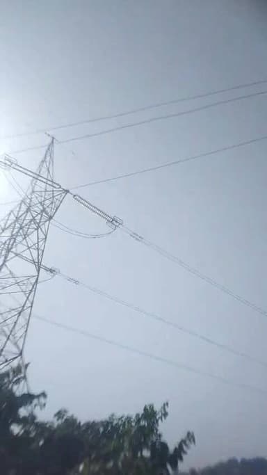 बिंदा गांव में राष्ट्रीय पक्षी मोर की मौत
#BindaGaon #Peacock #Wildlife #NewsUpdate