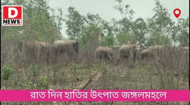 শাসক বিরোধী না হাতির উৎপাতে অতিষ্ঠ জঙ্গলমহলের মানুষ! দিনের পাশাপাশি রাতেও তাণ্ডব দল বেঁধে
#DNews #Elephantattack #Jamgla...
