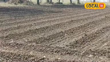 पांचवी फेल किसान ने कर दिया कमाल एक ही जमीन पर तीन तरह की फसलें लगाकर कर रहा है लाखों की कमाई #reel #burhanpur #mohandha...
