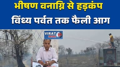 रीवा:में भीषण वनाग्नि से हड़कंपछुहिया घाटी से विंध्य पर्वत तक फैली आग#रीवा #वनाग्नि #छुहियाघाटी #विंध्यपर्वत #जंगलआग #Br...