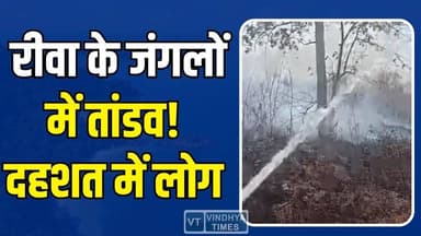 रीवा के जंगल धधके, आग का गोला बना इलाका, प्रशासन अलर्ट मोड में
#RewaForestFire #WildfireAlert #MadhyaPradeshNews #Break...