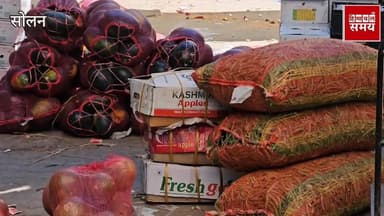 सोलन सब्जी मंडी में 25 अप्रैल को भाव
हिमाचल समय - Himachal Samay Media #educationalconten #nagarnigamsolan #mcsolan #Nah...