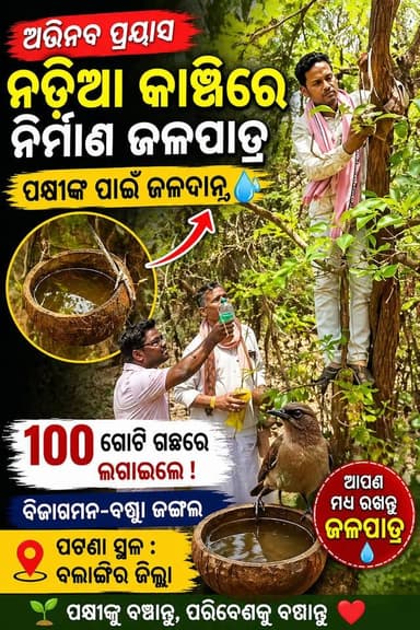ବିଜାଖମନ-ବଣ୍ଡା ଜଙ୍ଗଲରେ ନଡିଆ କାଂଚିର ଜଳପାତ୍ର, ପକ୍ଷୀଙ୍କ ପାଇଁ ଯୁବକମାନଙ୍କ ଅଭିନବ ଜଳଦାନ
#ବଲାଙ୍ଗିର
#ପକ୍ଷୀଙ୍କପାଇଁଜଳଦାନ
#ନଡିଆକାଂଚିପ...