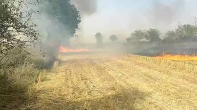 नरवाई की आग से भारी तबाही, बचाने वाले पर ही आफत, लपटों में घिरी फायर ब्रिगेड #नागौद#सतना#मध्यप्रदेश@आग