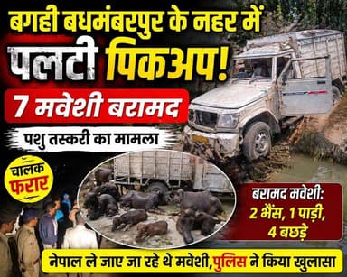 👉 “नहर में पलटी पिकअप से पशु तस्करी का भंडाफोड़, 7 मवेशी बरामद — चालक फरार!”
#BettiahNews #Bairiya #BiharNews #Breaking...
