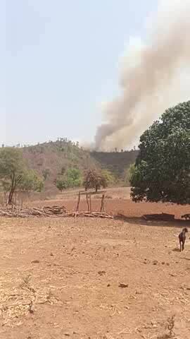 gam jungal tota mahuariya phad me bhari aag lga hai