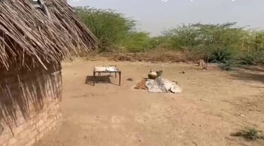 #लूणकरणसर के वार्ड नंबर 4 में अधेड़ की मौत, टाइगर फोर्स ने संभाली जिम्मेदारी