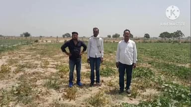 मैनपुरी: कोतवाली क्षेत्र निवासी पीड़ित ने दबंगों पर अपने खेत में खड़ी फसल को नष्ट करने का आरोप लगाया, थाने में की शिकायत