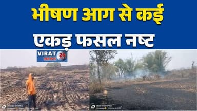 मैहर में खेत में रखी फसल जलकर राख
भीषण आग से कई एकड़ फसल नष्ट#MaiharNews #MPNews #FireAccident #CropFire #FarmersLoss #B...