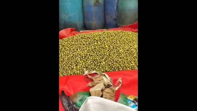 लूनकरनसर: राजस्थान के पारंपरिक व्यंजन कैर-सांगरी के दामों में हुई भारी बढ़ोतरी