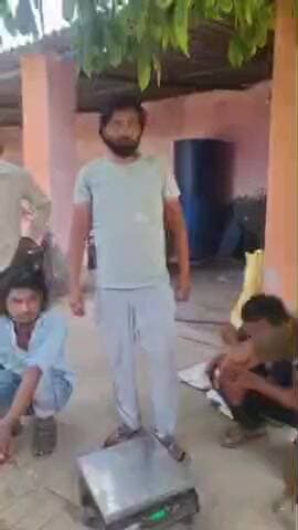 बागपत: बागपत में अनाज खरीद के दौरान बड़ा घोटाला, तोल में गड़बड़ी कर किसानों से की गई ठगी