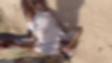 बड़ौत: हिलवाड़ी में संपत्ति विवाद के संघर्ष में घायल हुए सगे भाई की मौत, 1 आरोपी को हिरासत में लिया गया