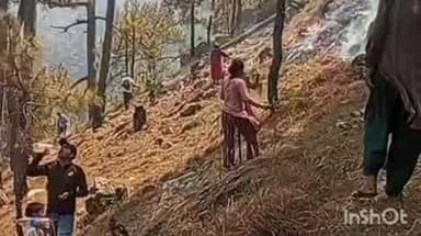 अल्मोड़ा: तेज हवाओं के बीच वनाग्नि से जंग, हंस फाउंडेशन के फायर फाइटर्स की सक्रियता