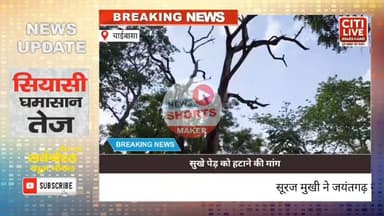 जैतगढ साप्ताहिक बाजार में स्थित सुखे पेड़ को हटाने की मांग
#citilivejharkhand #treadingreails #nonfollowers #foryoupag...