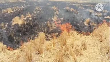 నిజామాబాద్ రూరల్: సిరికొండలో వరి కొయ్యలకు నిప్పు పెట్టినా రైతులు, అనాలోచిత ఆలోచనలో మార్చుకోవాలని వ్యవసాయ అధికారుల సూచన