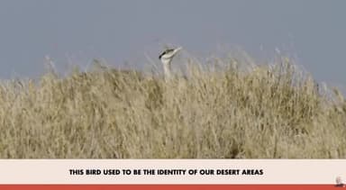 प्रधानमंत्री श्री नरेंद्र मोदी जी ने अपने लोकप्रिय रेडियो कार्यक्रम मन की बात में छत्तीसगढ़ में काले हिरण (ब्लैकबक) के स...