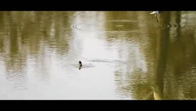 मुख्यमंत्री श्री विष्णुदेव साय के नेतृत्व में सरकार प्रकृति संरक्षण को नई दिशा दे रही है।
बलौदाबाजार-भाटापारा के बारनवा...