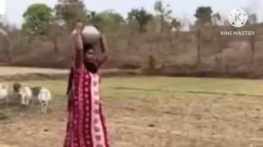 बैकुंठपुर: सलबा में जल संकट: गंदा पानी पीने को मजबूर ग्रामीण, मधुमक्खियों का खतरा