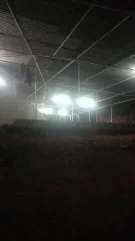 Jai shri Radhe shyam@radhe30998