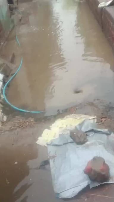 yeh Hai bajpatti Barri fulwariya Panchayat ka ward number 7