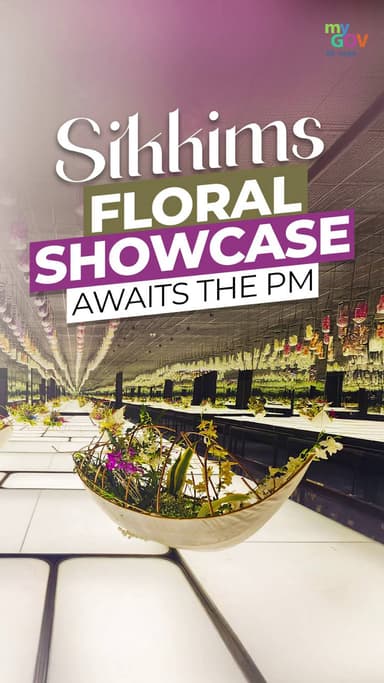 Orchid Showcase in Sikkim Awaits PM Visit 🌸