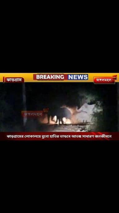 ঝাড়গ্রামের লোকালয়ে বুনো হাতির তান্ডবে আতঙ্ক সাধারণ জনজীবনে