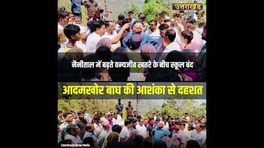 बाघ का खतरा इतना गंभीर कि पढ़ाई रुक गई #wildlifethreat #news #shorts