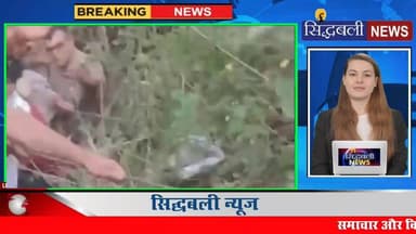 खाई में गिरी कार , पौड़ी के 6 लोग गंभीर घायल।
#news #utrakhand #pauri #kotdwar