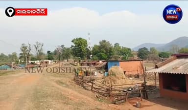 ସଂରକ୍ଷିତ ଜଙ୍ଗଲ କଟା ରେ କାହା ଭାଗ କେତେ ?
#malkangiri #reserveforest #cutting #jungle #forestdepartment
#dfomalkangiri #df...