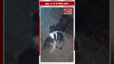 जांजगीर-चांपा : NH-49 पर दो भी#षण हादसे, 3 की मौ#त—2 गंभीर घायल