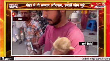 नोहर में गौ सम्मान अभियान, हजारों लोग जुटे#breakingnews #chanakyanewsindia